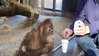 小刚爆料视频,幕后真相大曝光 第3张 小刚爆料视频,幕后真相大曝光 第3张